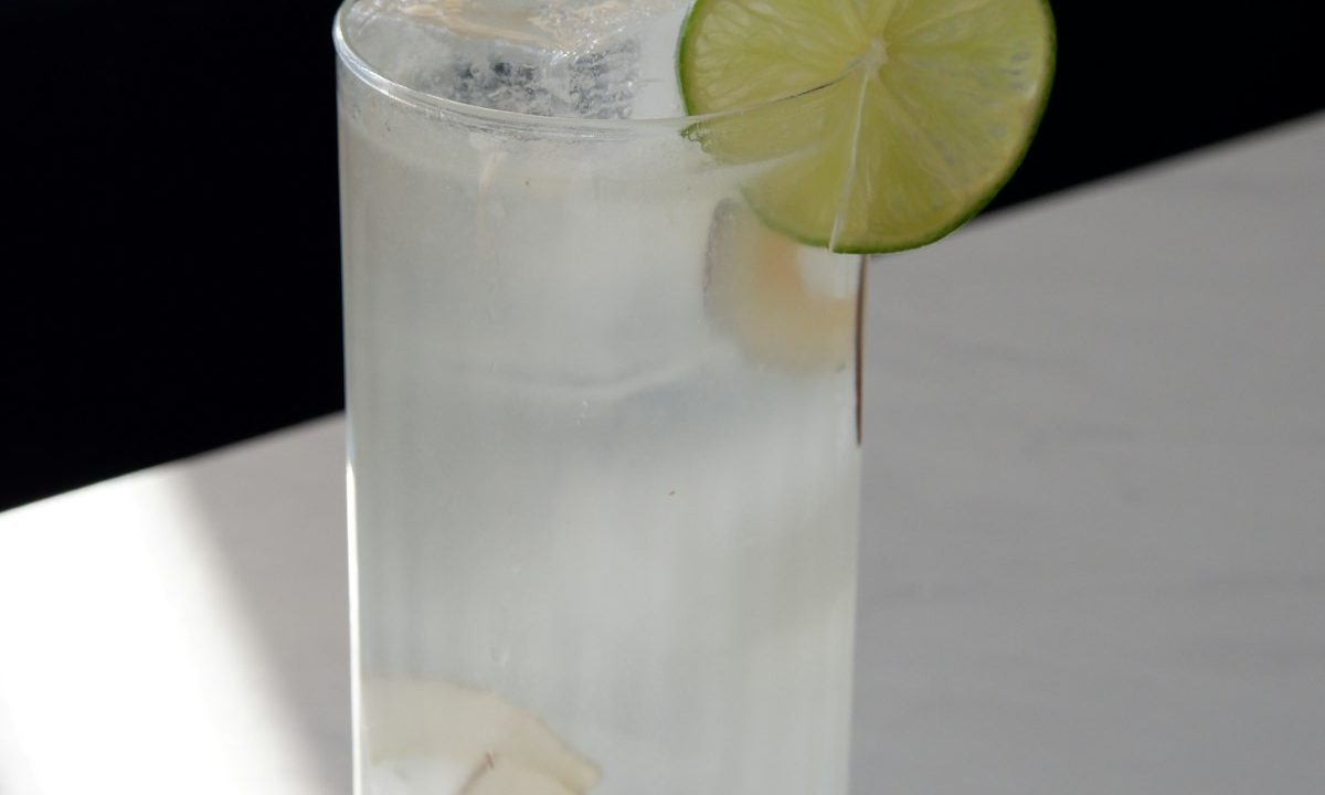 Vodka Gimlet - recette de cocktail